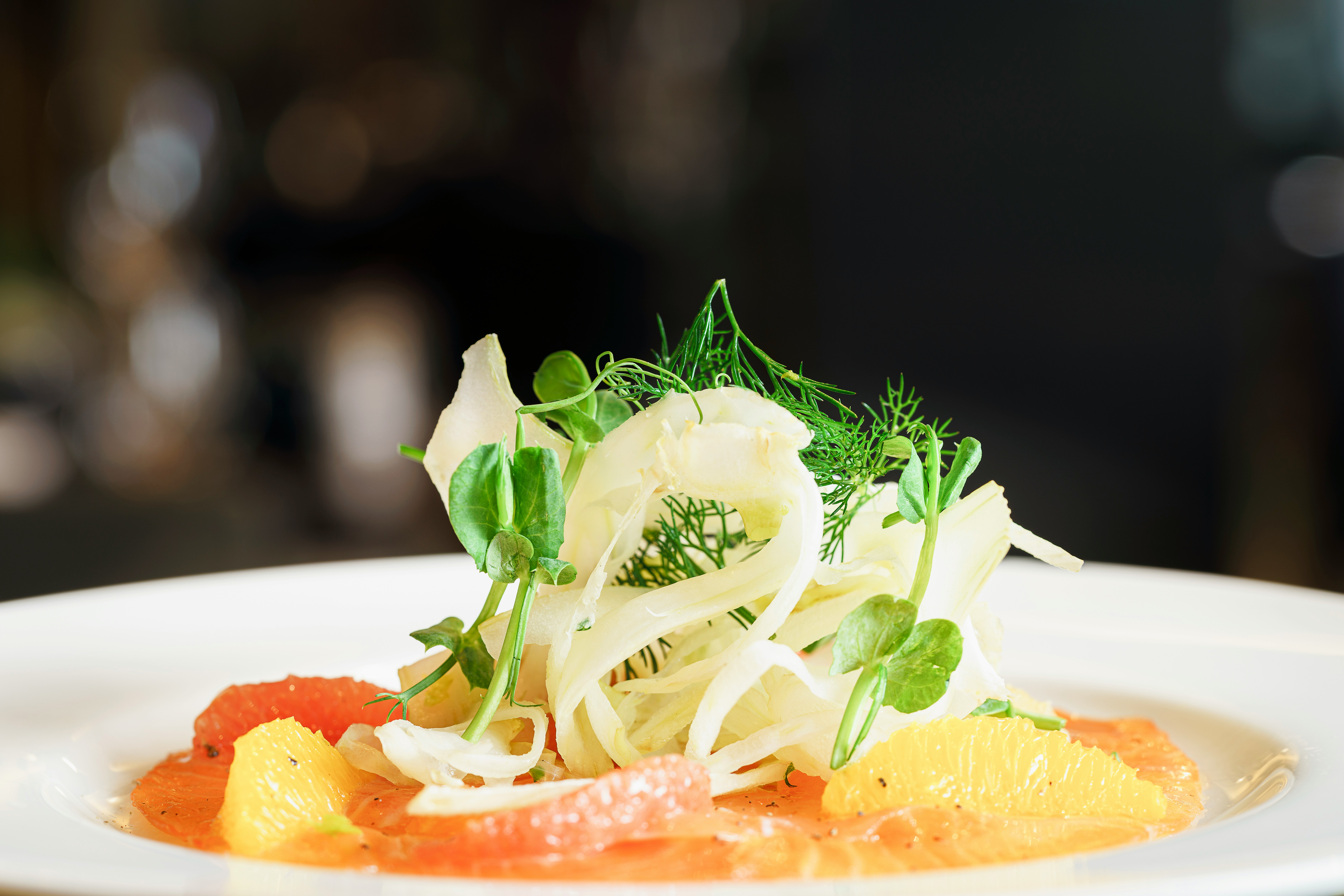 Choosing the Right Variety of Potato to Grow